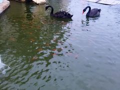 -南京圣和府邸豪华精选酒店