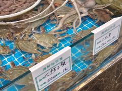 -渡海小渔村.老辈日照菜