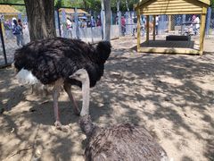 -长白岛森林公园