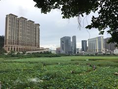 -龙环葡韵住宅式博物馆