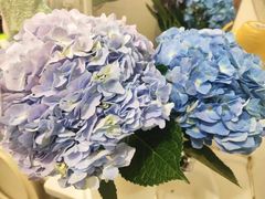 -盒马鲜生(岭南新世界店)