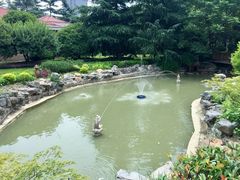池塘-上海虹桥迎宾馆