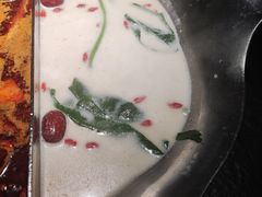 -湊湊火锅·茶憩(石家庄万象城店)