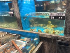 -码头鲜精致威海菜(欧乐坊店)