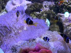 -石林冰雪海洋世界