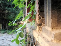-淄博聊斋城景区