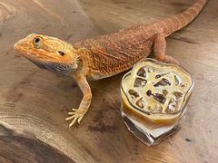 --1F Coffee
