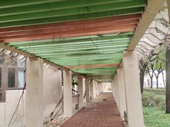 -上海财经大学(国定路校区)