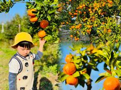 -前小桔亲子创意农场·草莓采摘·露营烧烤