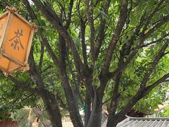 -大理文庙(大理古城)