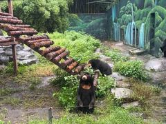 -宁波野生动物园