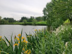 -万柳高尔夫俱乐部