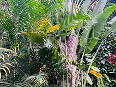 -郑州植物园
