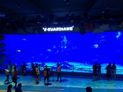 -烟台海昌鲸鲨海洋公园