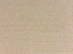 -吉野家(上海美罗城店)