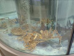 -海底捞大排档火锅(打浦路店)