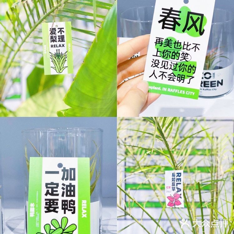 杭州探店|商场里的一抹绿|满满的春日气息