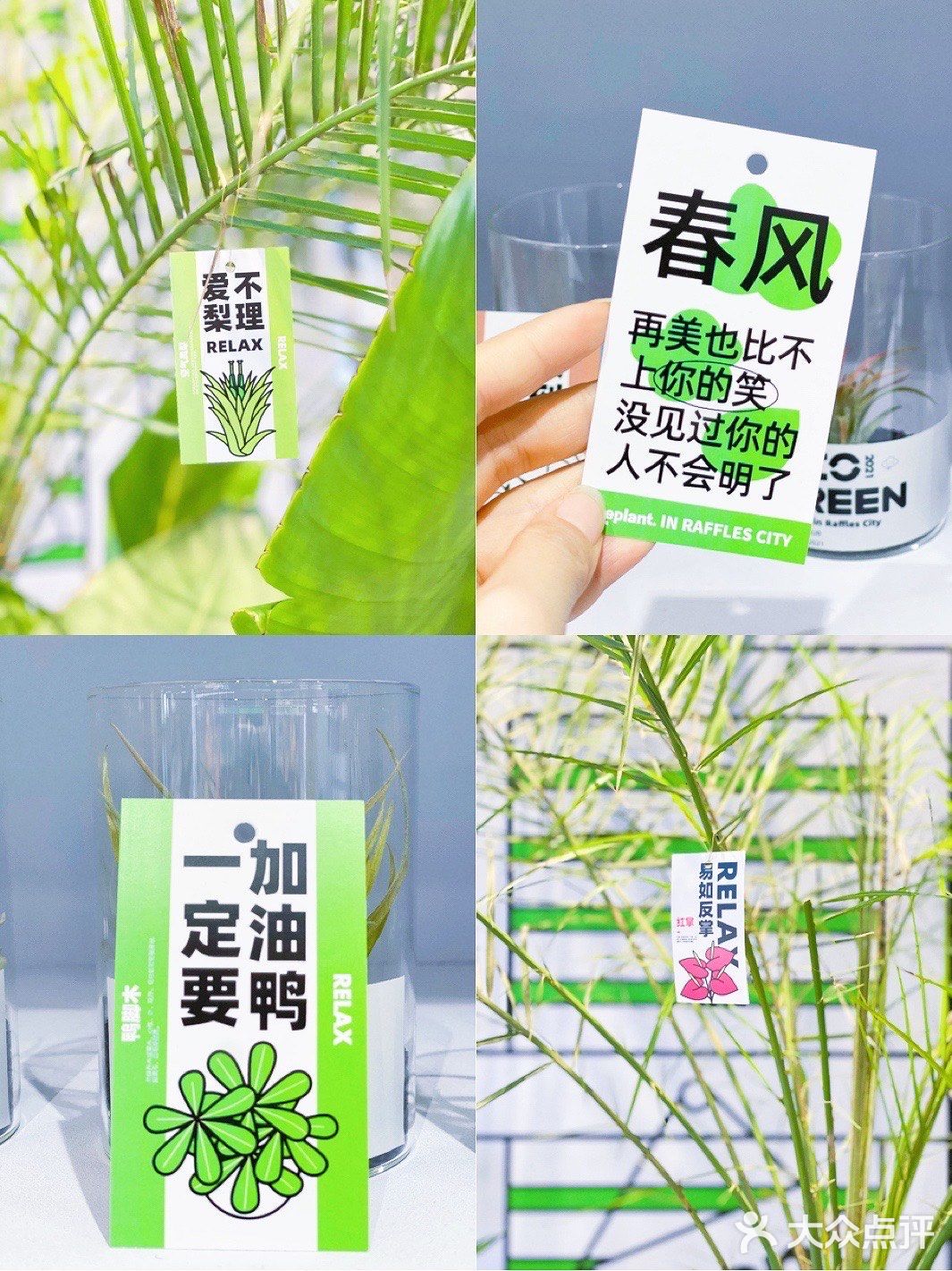 杭州探店｜商场里的一抹绿｜满满的春日气息