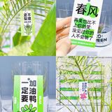 杭州探店｜商场里的一抹绿｜满满的春日气息