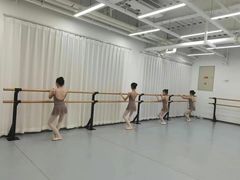 -中央芭蕾舞团·中芭艺蕾(酒仙桥明星校区)