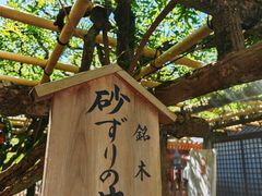 -奈良公园