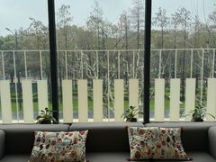 -刘健艺术钢琴学校·专注钢琴教育25周年(徐家汇校区)