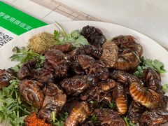 -三中高皇羊肉馆