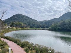 -广州市石门国家森林公园