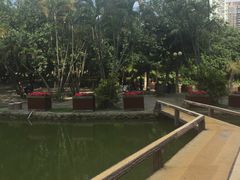 -四海公园(南山区)