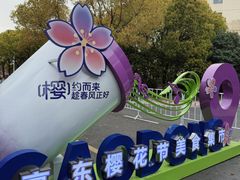 -高东镇樱花园