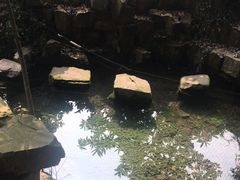 -雨花胜境