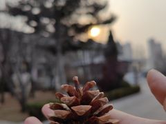 -营口辽河老街