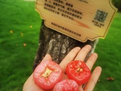 -映月湖公园