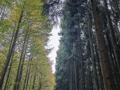 -山王坪喀斯特国家生态公园