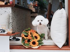 -Line 咖啡(石厦花园店)