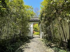 -苏州上方山国家森林公园