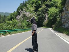 -燕子河大峡谷天坑仙境