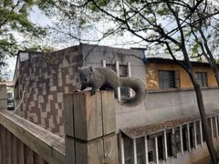 -昆明动物园