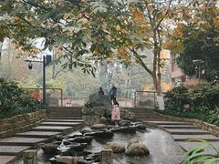 -成都市活水公园