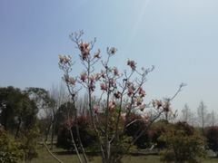 -宝岩生态观光园