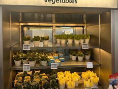 -海底捞大排档火锅(打浦路店)