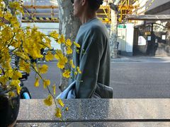 -Apollo·西班牙小酒馆(安福路店)