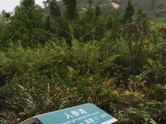 -江门古兜温泉小镇