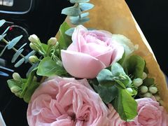 -美华丁香门诊部·全科·妇儿·口眼