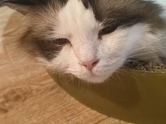 -白兔子密室(长寿路店)