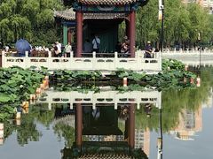 -莲花池公园