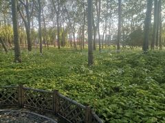-森林公园(尖草坪区)