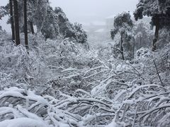 -庐山风景区花径公园