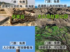 -巧克力渔家.小船海鲜胶东菜(万平口店)