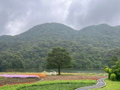-广州市石门国家森林公园